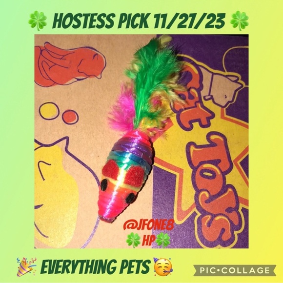Rainbow ๐ feather tailed mouse ๐ cat toy and catnip bonus - Picture 6 of 13